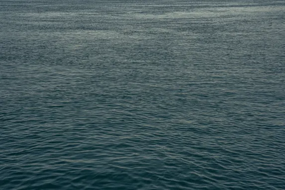 Kazino Jackpot Molly Atbalsts